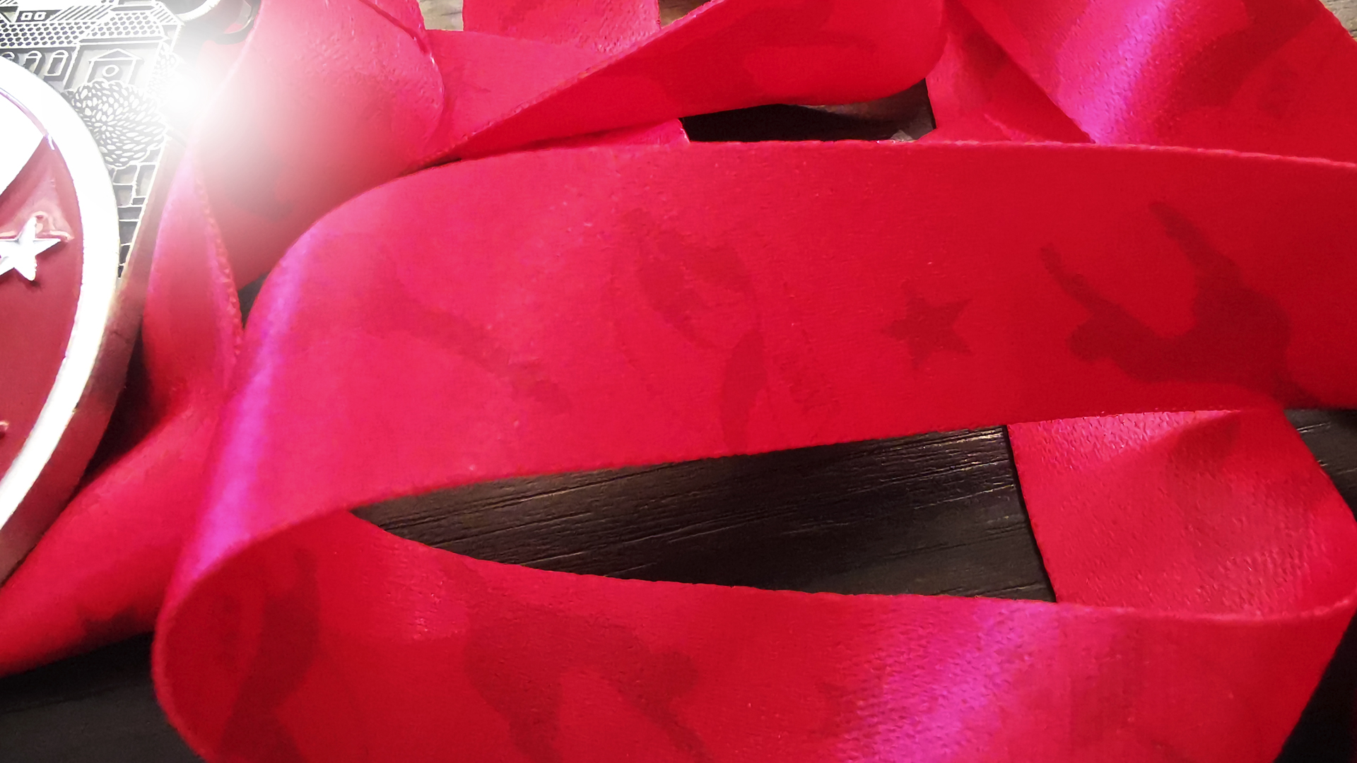 Tanzgruppe Merseburg-Meuschau e. V.